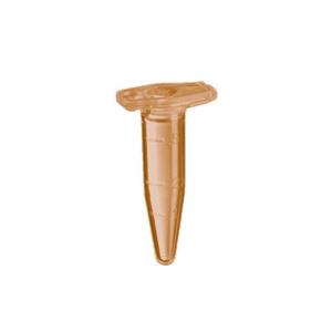 022363611 | Eppendorf Safe-Lock Tubes, 0.5 mL, Eppendorf Quality, colorless, 500 tubes