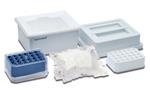 022494018 | epT.I.P.S.® Standard, Eppendorf Quality, 50 – 1,250 µL L, 103 mm, dark green, colorless tips, 1,000 tips (4 bags × 250 tips)
