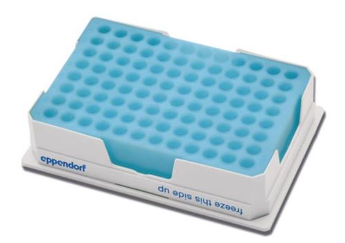 022510509 | PCR-Cooler 0.2 mL Starter Set, 1 pink, 1 blue