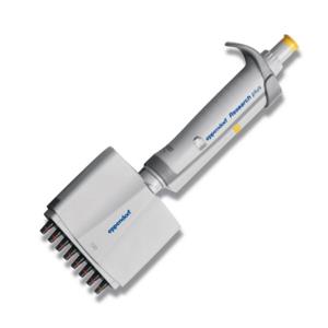 3125000028 | Eppendorf Research® plus, 12-channel, variable, incl. epT.I.P.S.® Box 2.0, 0.5 – 10 µL, medium gray. Replaces order no. 3122000027.