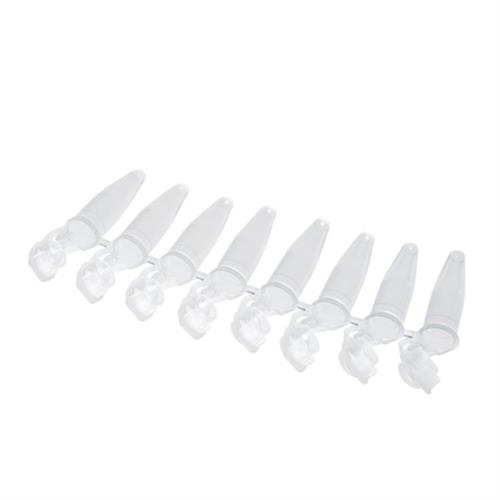 951010006 | Eppendorf PCR Tubes, 0.2 mL, PCR clean, colorless, 1,000 pcs.