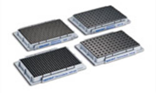 960002391 | Thermoadapter for DWP 96 1000