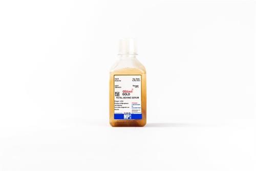 MP092916754 | Cellect Fetal Bovine Serum Go
