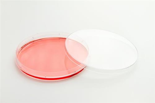 12600003 | Nunc Easydish 100x20 Tc 240/cs