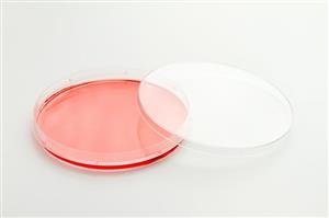 12600003 | Nunc Easydish 100x20 Tc 240/cs