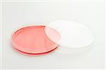 12600003 | Nunc Easydish 100x20 Tc 240/cs