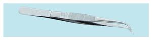 1631 | Forceps Cartilage Fneptcrv 5in