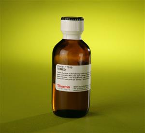 PI17919 | Thermo Scientific TEMED Content And Storage Store
