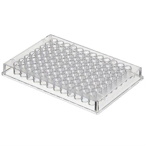 1424578 | Immulon I Flat Plates 50/cs