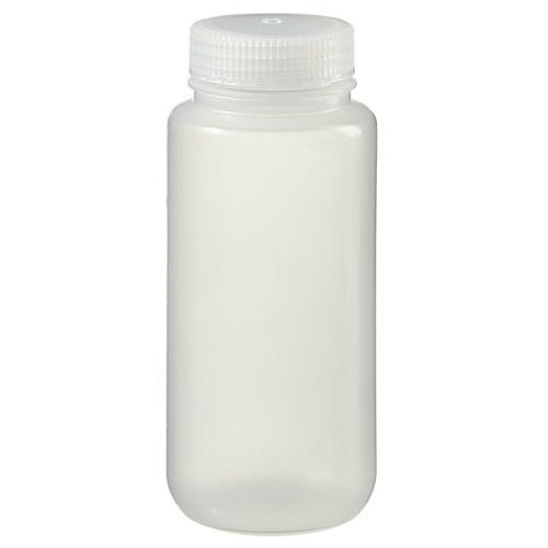 02896E | Bottle Wm Pp 16oz 12/pk
