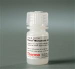 PI20228 | Thermo Scientific Pierce Monomeric Avidin Agarose