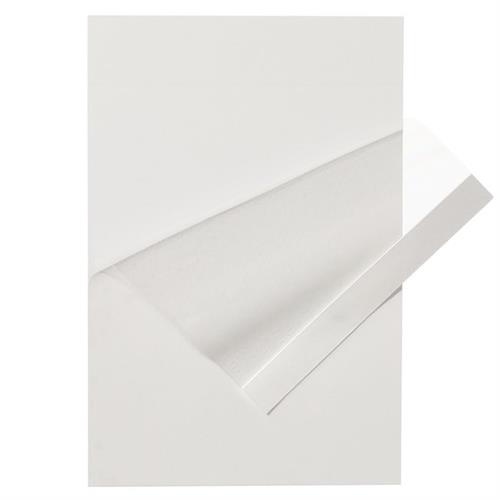 14245192B | Plate Sealer Mylar 100/cs