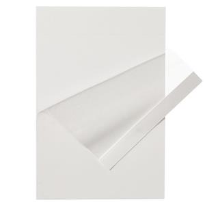 14245192B | Plate Sealer Mylar 100/cs