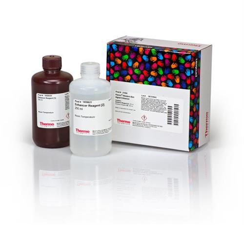 PI21050 | Thermo Scientific Pierce Western Blot Signal Enhan