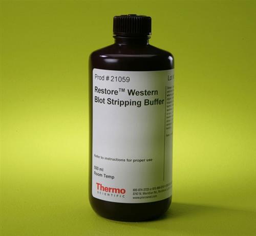 PI21059 | Thermo Scientific Restore Western Blot Stripping B