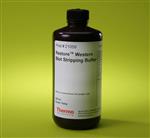 PI21059 | Thermo Scientific Restore Western Blot Stripping B