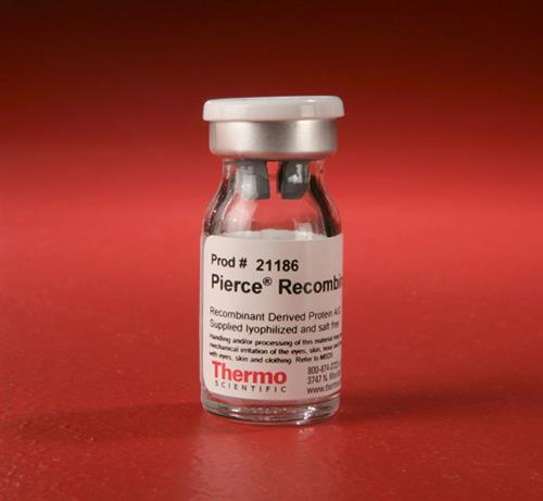 PI21186 | Thermo Scientific Pierce Recombinant Protein A G 5