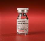 PI21186 | Thermo Scientific Pierce Recombinant Protein A G 5