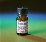 PI21335 | Thermo Scientific EZ Link Sulfo NHS LC Biotin Desc