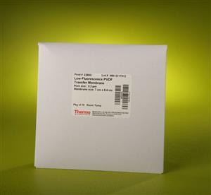 PI22860 | Thermo Scientific Low Fluorescence PVDF Transfer M