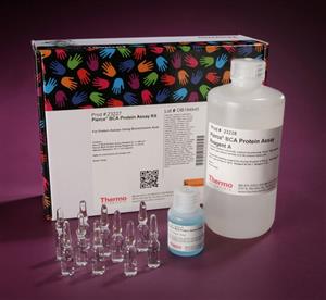 PI23227 | Bca Protein Assay Kit