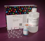 PI23227 | Bca Protein Assay Kit