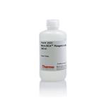 PI23231 | Micro Bca Reagent A 240ml pk