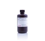 PI23232 | Micro Bca Reagent B 240ml pk