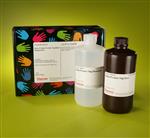 PI24570 | Thermo Scientific Pierce 6xHis Protein Tag Stain R