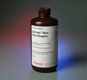 PI24590 | Gelcode Blue Stain Reagent Wa