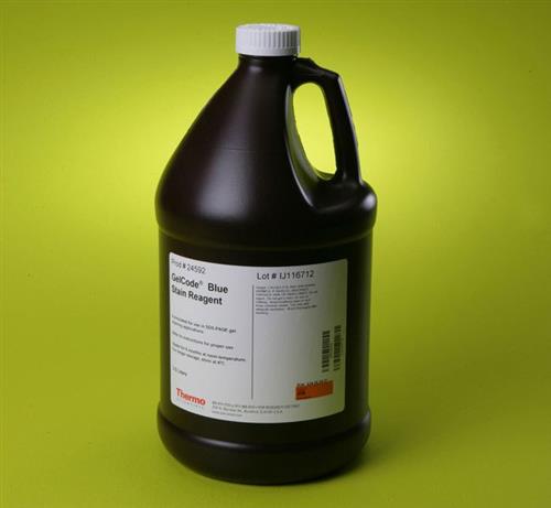 PI24592 | Thermo Scientific GelCode Blue Stain Reagent 3.5 L