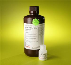 PI24594 | Thermo Scientific GelCode Blue Safe Protein Stain