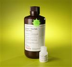 PI24594 | Thermo Scientific GelCode Blue Safe Protein Stain