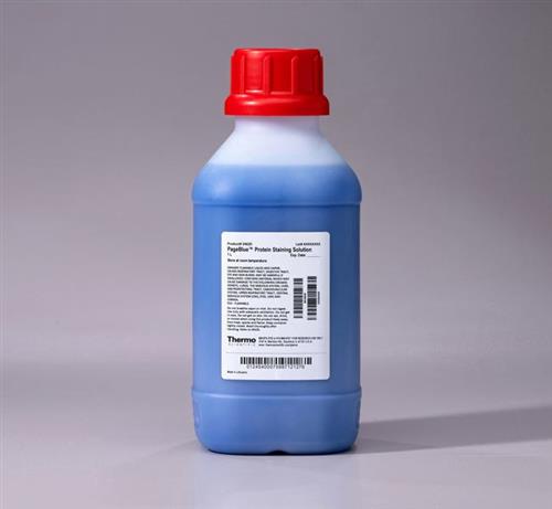PI24620 | Thermo Scientific PageBlue Protein Staining Soluti