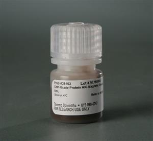 PI26162 | Pierce Chip grade Protein A g