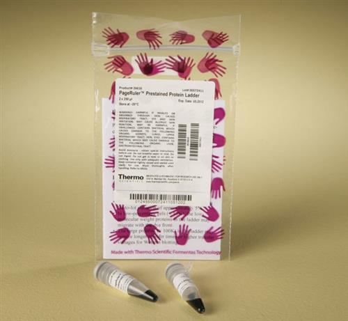 PI26616 | Thermo Scientific PageRuler Prestained Protein Lad