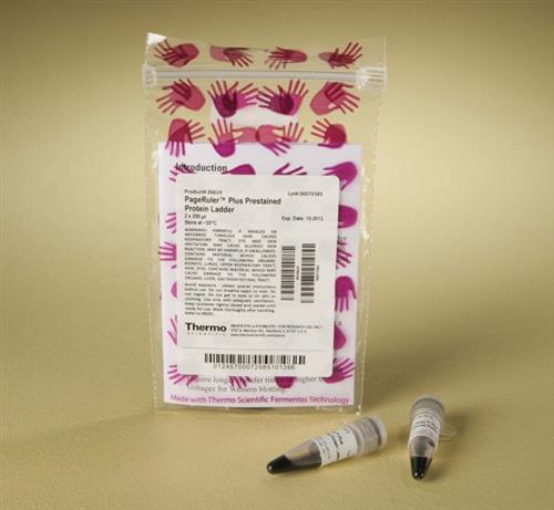 PI26619 | Thermo Scientific PageRuler Plus Prestained Protei