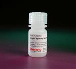 PI29202 | Thermo Scientific Pierce High Capacity NeutrAvidin