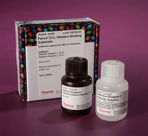 PI32109 | Thermo Scientific Pierce ECL Western Blotting Subs