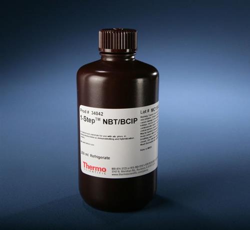 PI34042 | Thermo Scientific 1 Step NBT BCIP Substrate Soluti