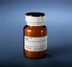 PI34045 | Thermo Scientific PNPP Substrate 25 g Format Powde