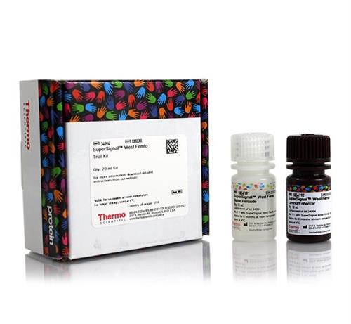 PI34094 | Thermo Scientific SuperSignal West Femto Maximum S