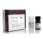 PI34094 | Thermo Scientific SuperSignal West Femto Maximum S