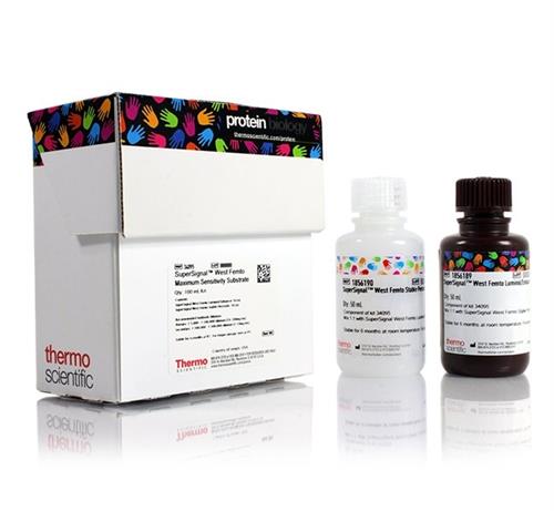 PI34095 | Thermo Scientific SuperSignal West Femto Maximum S