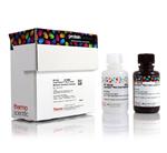PI34095 | Thermo Scientific SuperSignal West Femto Maximum S