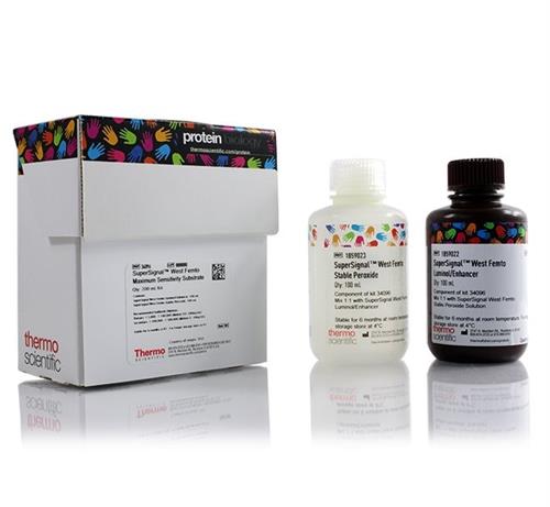 PI34096 | Thermo Scientific SuperSignal West Femto Maximum S