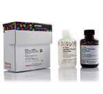 PI34096 | Thermo Scientific SuperSignal West Femto Maximum S