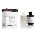 PI34577 | Thermo Scientific SuperSignal West Pico PLUS Chemi