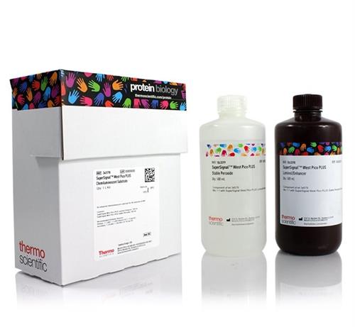 PI34578 | Thermo Scientific SuperSignal West Pico PLUS Chemi