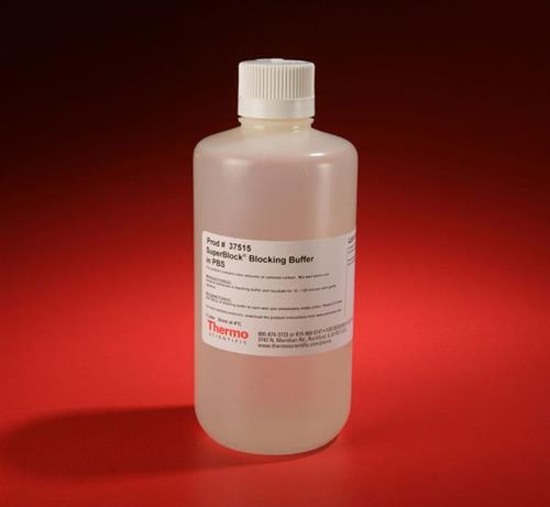 PI37515 | Thermo Scientific SuperBlock PBS Blocking Buffer 1